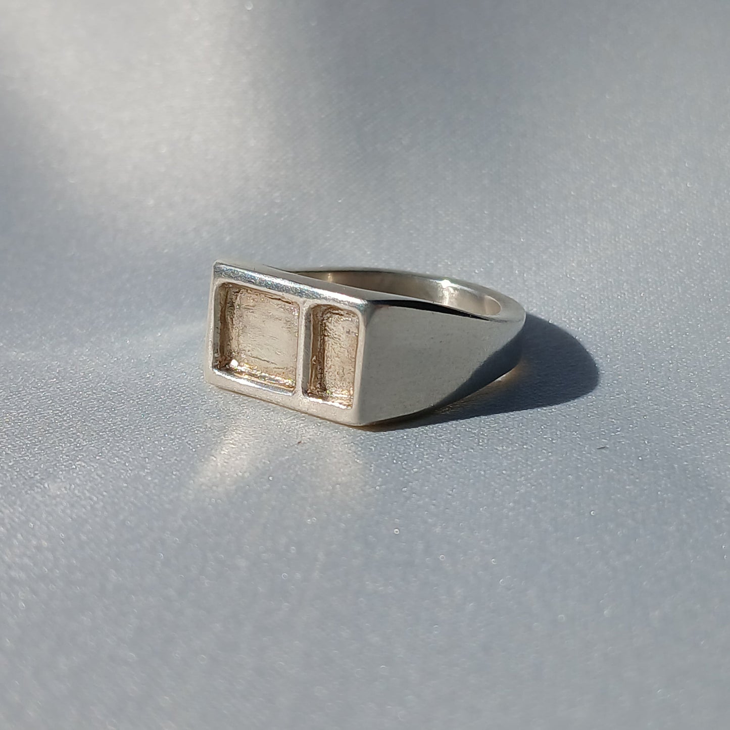 The Assertion Signet
