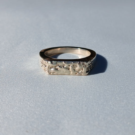The River Ring