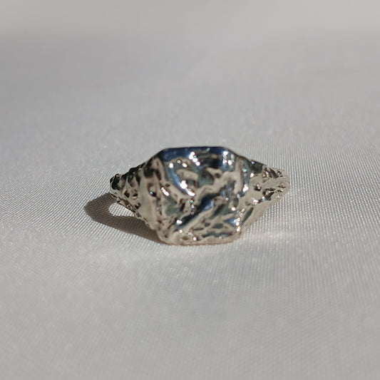 The Liquid Venture Ring